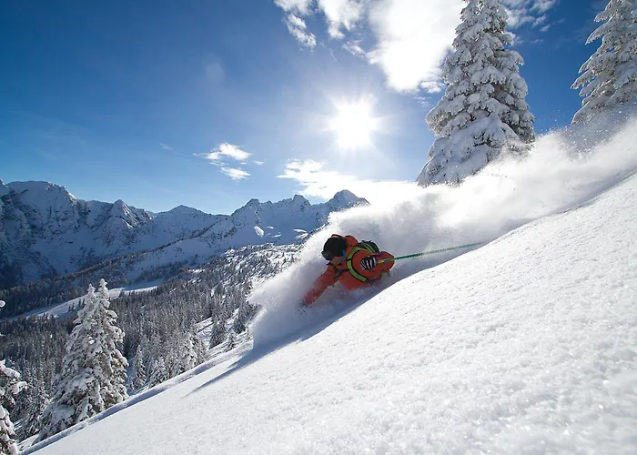 بيت ضيافة Gaestehaus Pilz 3*